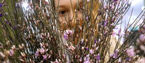 Flowers sold for March 8th holiday - Sputnik Moldova