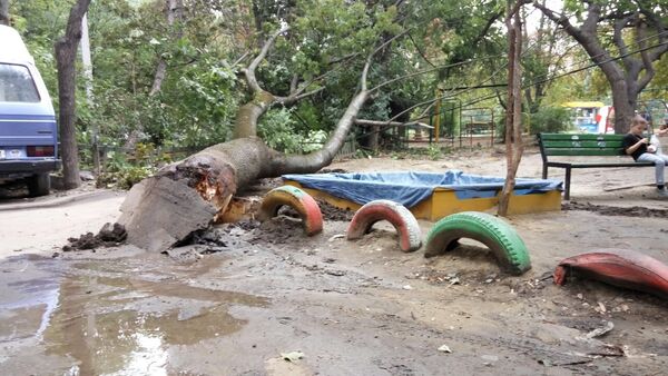 Упавшее дерево уничтожило детскую площадку в Кишиневе - Sputnik Moldova