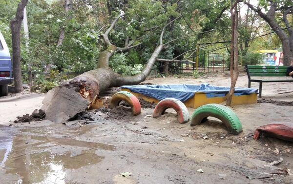 Упавшее дерево уничтожило детскую площадку в Кишиневе - Sputnik Молдова