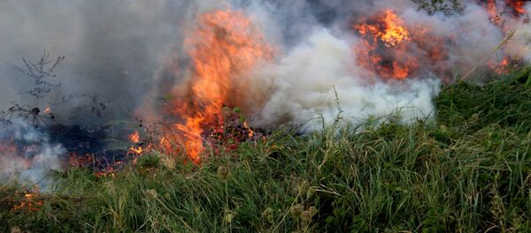 Incendiu pe str. Lermontov, mun. Chișinău - Sputnik Moldova