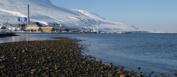 Высокоширотная полярная экспедиция на Шпицберген в рамках проекта Арктика – 2015 - Sputnik Молдова