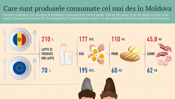 Care sunt produsele consumate cel mai des în Moldova - Sputnik Moldova