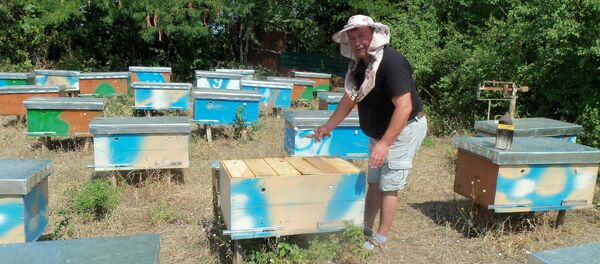 Valentin Bostan - Sputnik Moldova