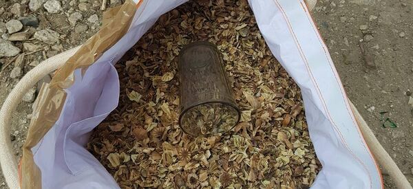 paie de mac - Sputnik Moldova