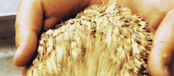 Extracted gold - Sputnik Moldova-România