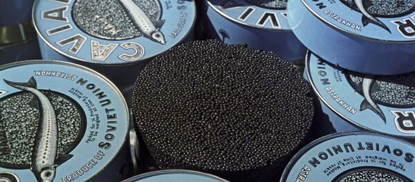 Икра зернистая - Sputnik Moldova