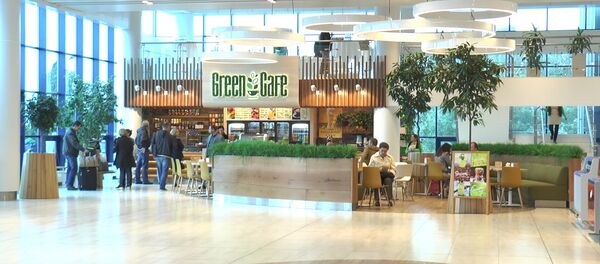 Модернизация терминала аэропорта Кишинева подходит к концу - Sputnik Молдова