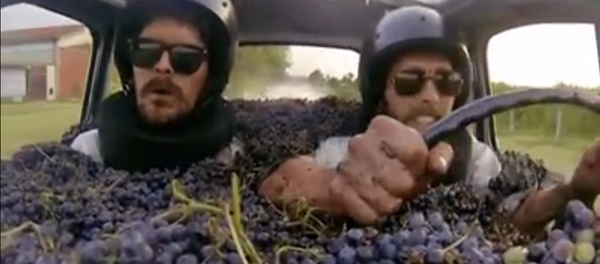 În drum spre casă de la cules struguri - Sputnik Moldova