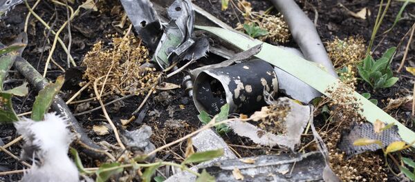 Место крушения Boeing 777 малайзийских авиалиний Место крушения Boeing 777 малайзийских авиалиний - Sputnik Молдова