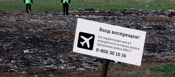 Эксперты из Нидерландов и Малайзии посетили место крушения Боинга в Донецкой области Эксперты из Нидерландов и Малайзии посетили место крушения Боинга в Донецкой области - Sputnik Молдова