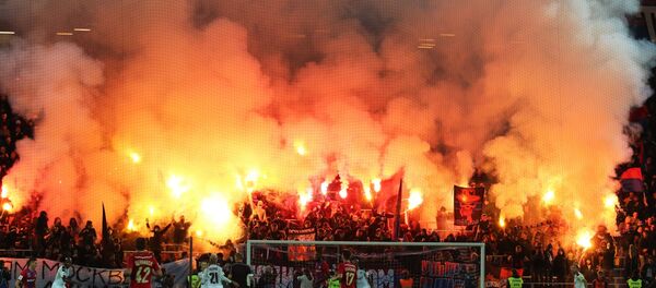 Comportamentul suporterilor în timpul unui meci de fotbal - Sputnik Moldova-România