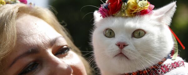 День вышиванки - Sputnik Молдова