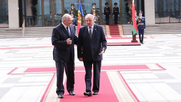 Aleksandr Lukaşenko şi Nicolae Timofti - Sputnik Moldova