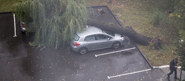Peste mașina a căzut un copac - Sputnik Moldova