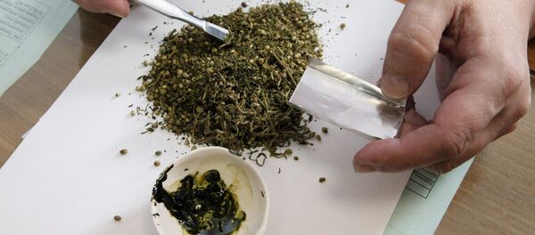 Работа экспертно-криминалистического центра УВД по Приморскому краю - Sputnik Moldova