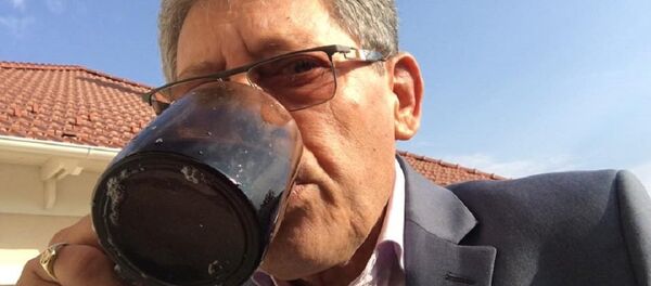 Mihai Ghimpu - Sputnik Moldova