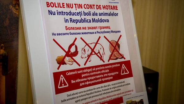 Свиной грипп - Sputnik Moldova-România