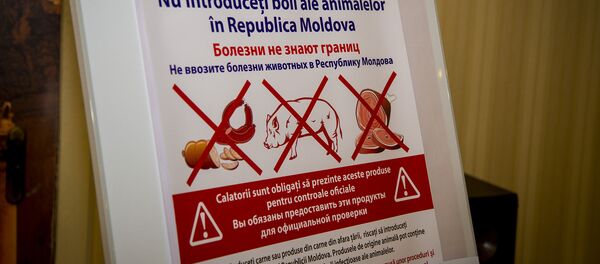 Свиной грипп - Sputnik Moldova