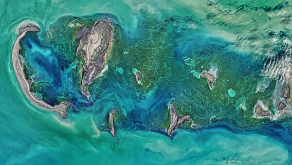 Снимок Тюленьих островов в Каспийском море, сделанный спутником Landsat 8 - Sputnik Moldova-România