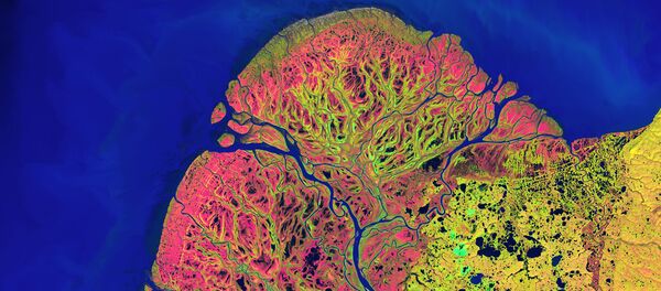 Вид из космоса на национальный заповедник дикой природы Дельта Юкона на Аляске - Sputnik Молдова