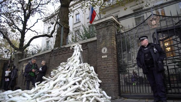 Протестующие у посольства РФ в Лондоне соорудили пирамиду из пластиковых рук - Sputnik Moldova