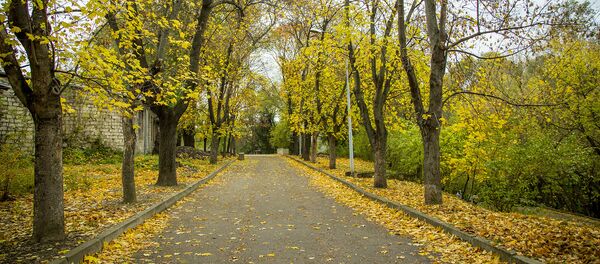 осень - Sputnik Молдова