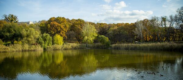 Осень - Sputnik Moldova