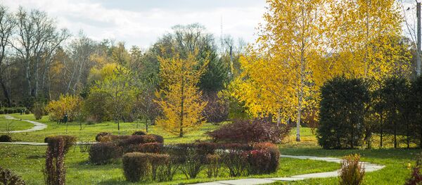 Осень  - Sputnik Молдова