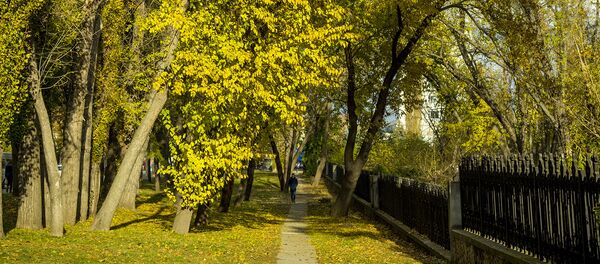 Осень - Sputnik Moldova