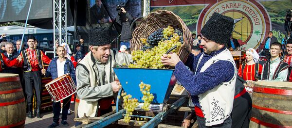 День вина в Гагаузии - Sputnik Молдова