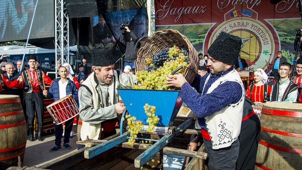День вина в Гагаузии - Sputnik Moldova