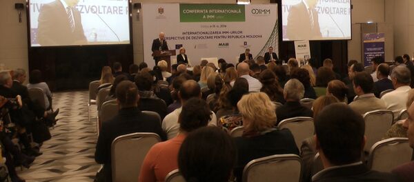 Правительство и ЕС решили поддержать малый и средний бизнес - Sputnik Молдова