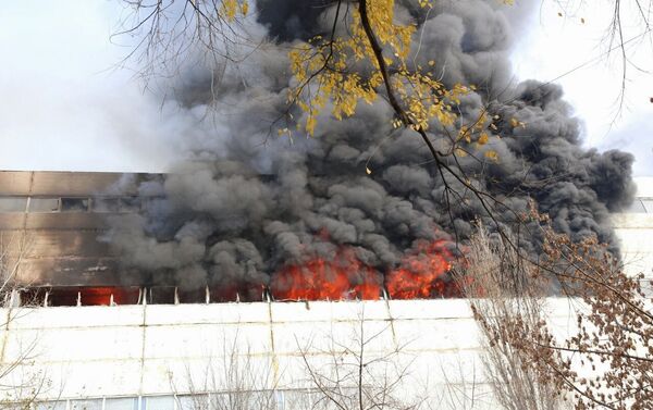Пожар на Чеканах, 11 ноября - Sputnik Молдова