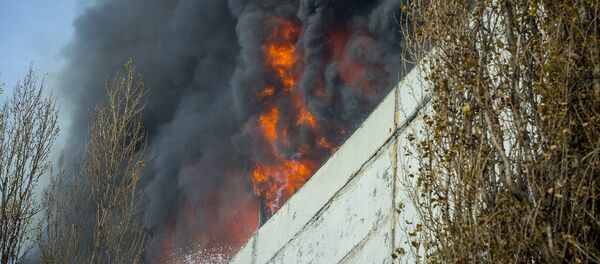 Пожар на Чеканах - Sputnik Moldova