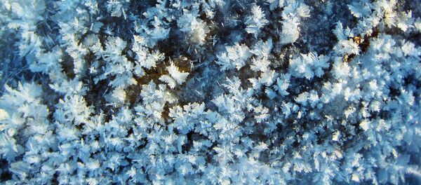 Fulgi de zăpadă - Sputnik Молдова