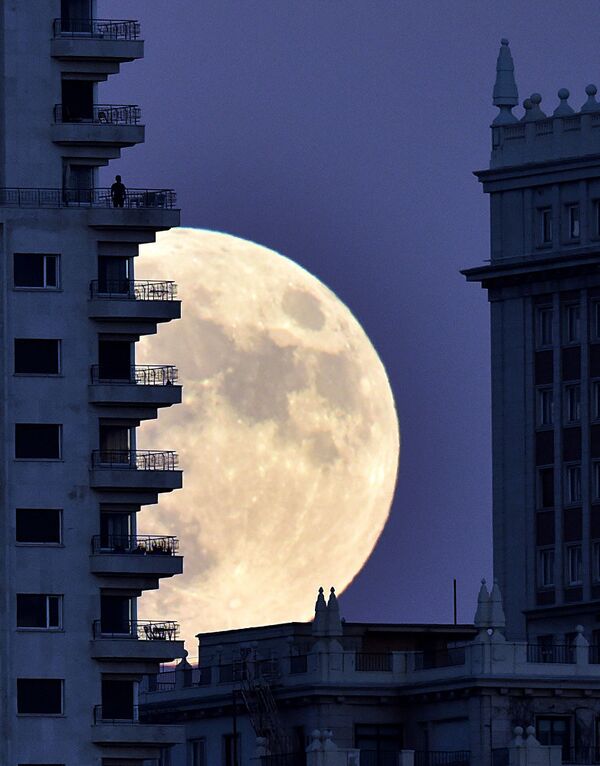 Madrid. Un spaniol urmărește Super-Luna de la balcon - Sputnik Moldova-România