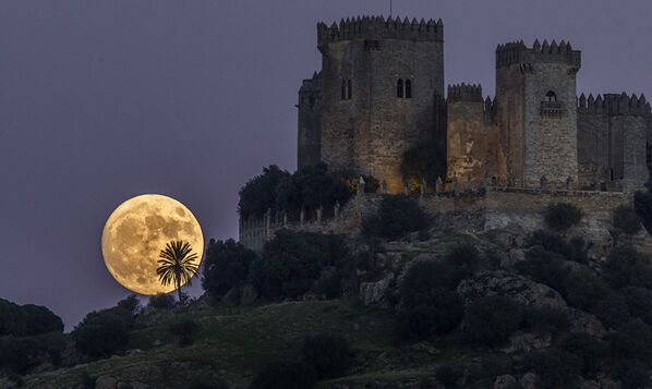 Luna se ridică de după castelul Almodovar din Cordoba (Spania). Fotografie de duminică - Sputnik Moldova