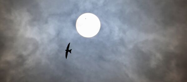 Prada planetelor - Sputnik Moldova