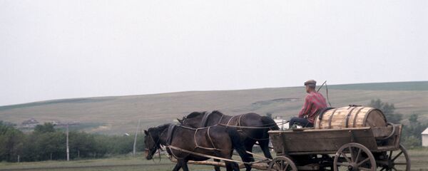 Căruțaș - Sputnik Moldova