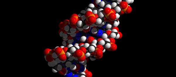 ДНК - Sputnik Молдова