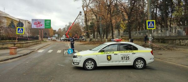 Lucrări de curățare a copiacilor pe str. Alexei Mateevici din Chișinău Lucrări de curățare a copiacilor pe str. Alexei Mateevici din Chișinău - Sputnik Молдова